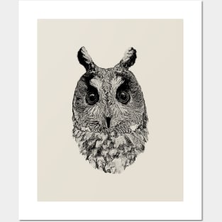 Owl Posters and Art